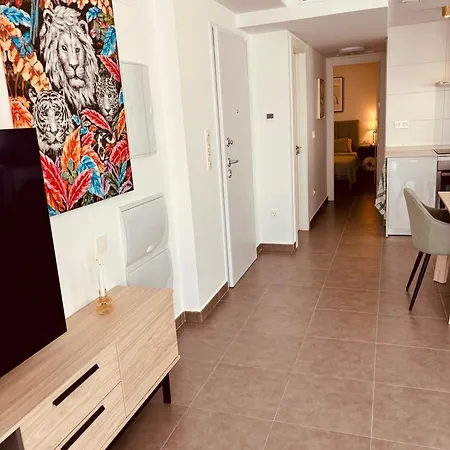 Apartment Alicante Jacuzzi Luxury Penthouse With Rooftop Terrace Gran Alacant